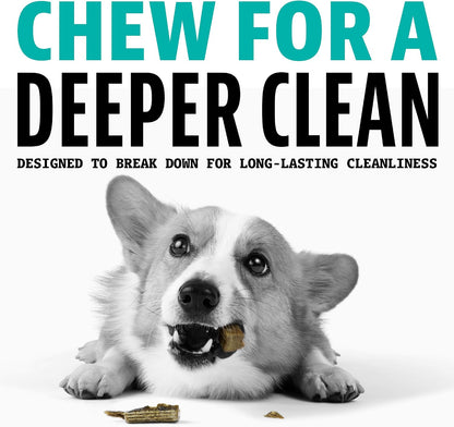 Daily Dental Chews for Medium Dogs, Freshens Breath, Mint, 20 CT