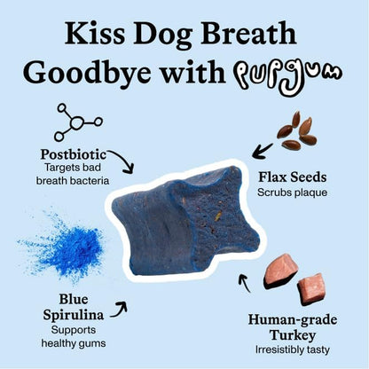 Pupgum Dog Dental Chews for Fresh Breath & Clean Teeth – Clinically Proven Ingredients – Human-Grade, Vet-Developed Daily Dental Treats for Dogs 16-40Lbs – 14 Chews – Made in USA