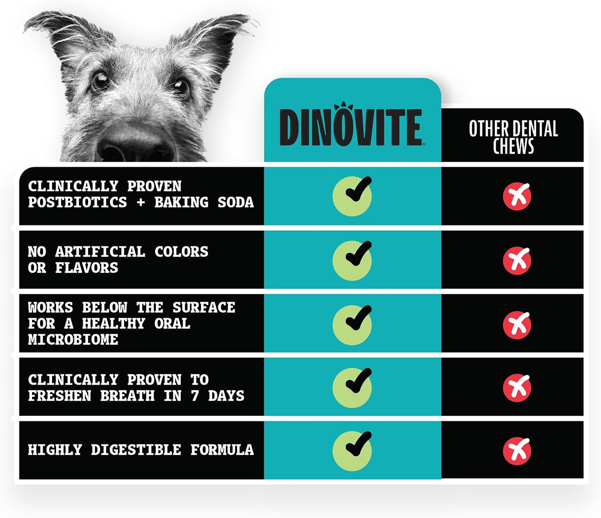 Daily Dental Chews for Medium Dogs, Freshens Breath, Mint, 20 CT